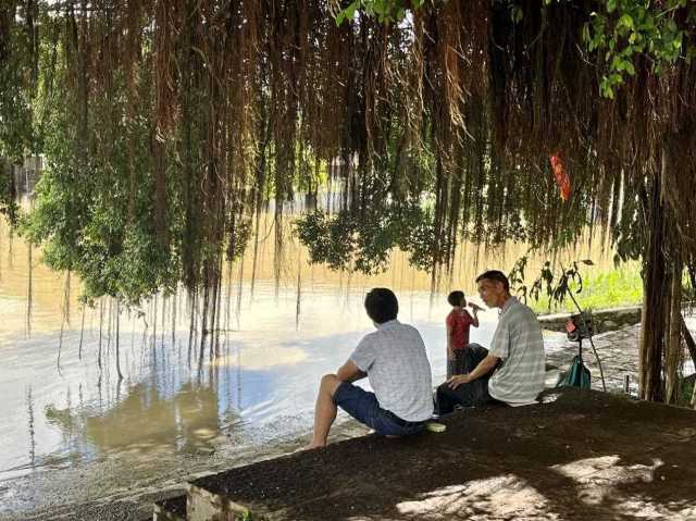 村民在大榕樹下乘涼聊天，黃姨（中）在岸邊唱歌。伍思懿 攝 