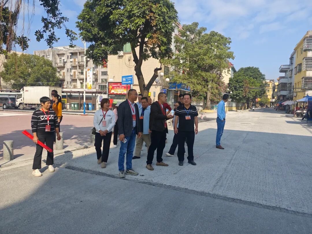龍勝鎮人大組織開展2025年第四季度人大代表視察活動