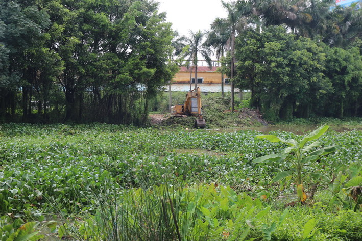 C:UsersadminDesktop20萬平方米水浮蓮占領轄區(qū)河渠 長沙街道向污染宣戰(zhàn)22_調整大小.jpg C:UsersadminDesktop20萬平方米水浮蓮占領轄區(qū)河渠 長沙街道向污染宣戰(zhàn)22_調整大小.jpg