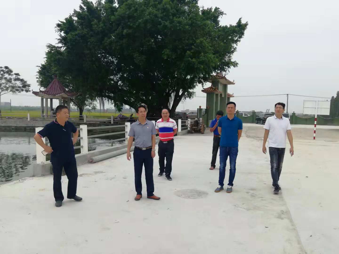 朱主任帶隊到平原督導三清三拆三整治工作.jpg 朱主任帶隊到平原督導三清三拆三整治工作.jpg